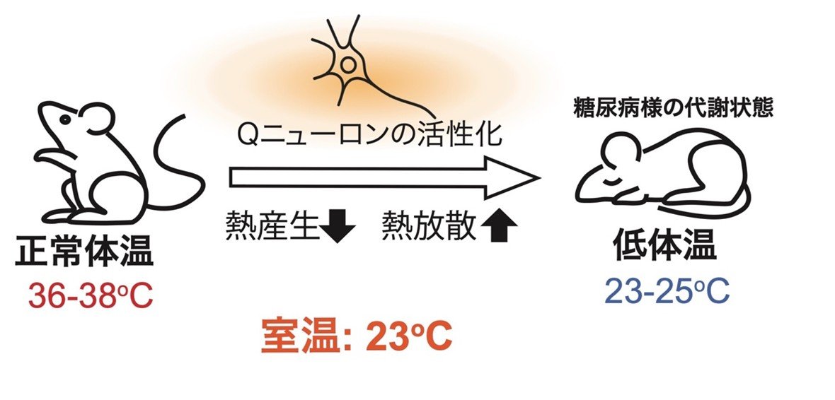 202507enoki-1.jpg