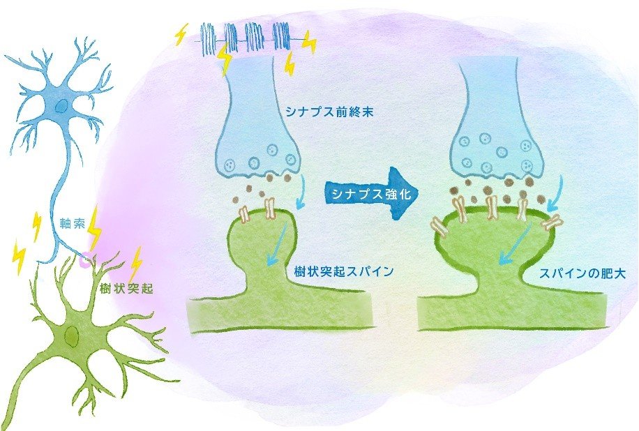 20260814nemoto-1.jpg