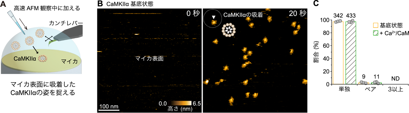20260912murakoshi-2.png