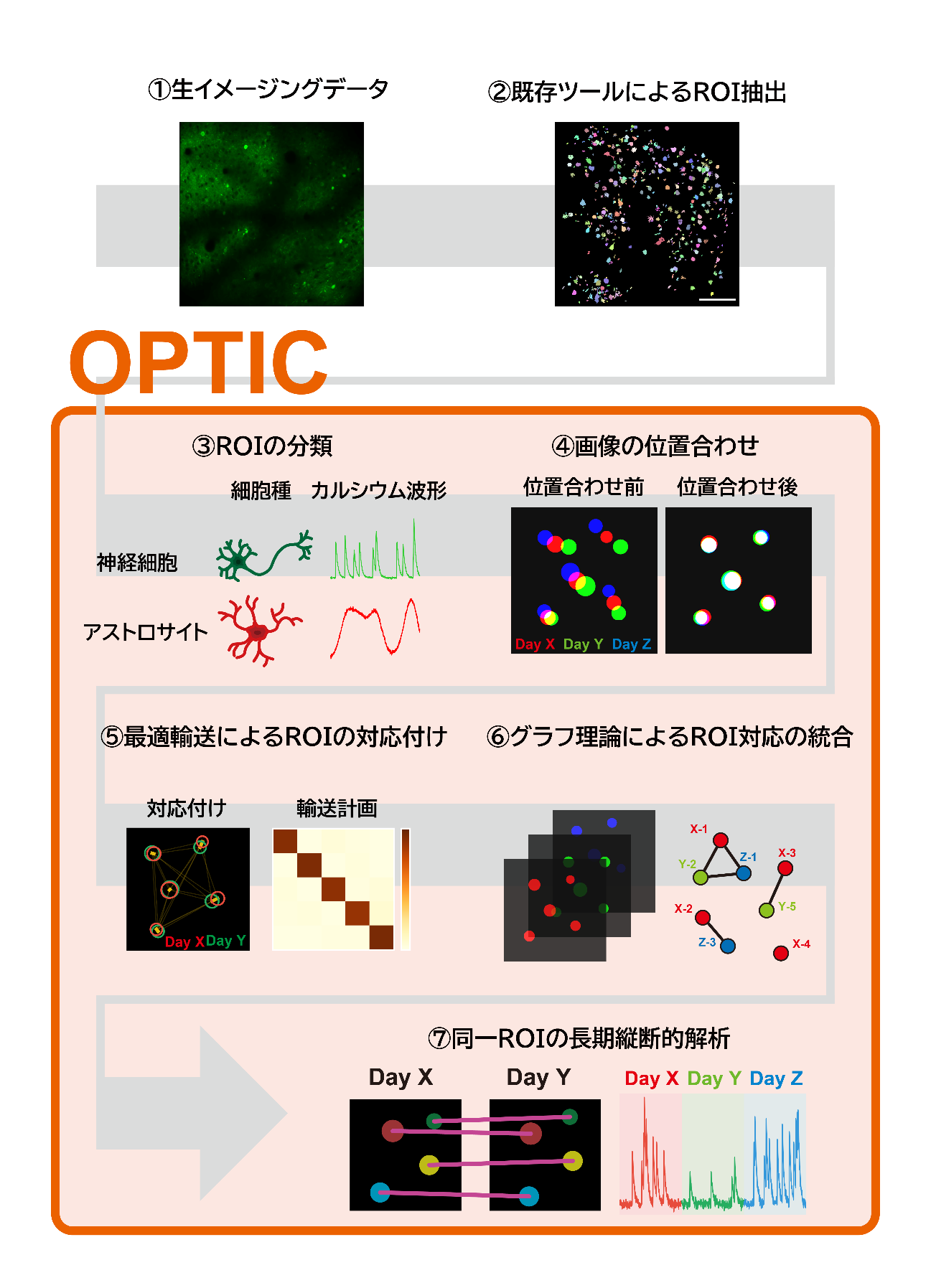 20261007wake-1.png