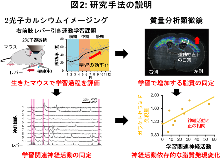 230726wake-2.png