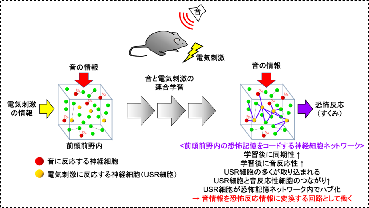 231006agetsuma-5.png