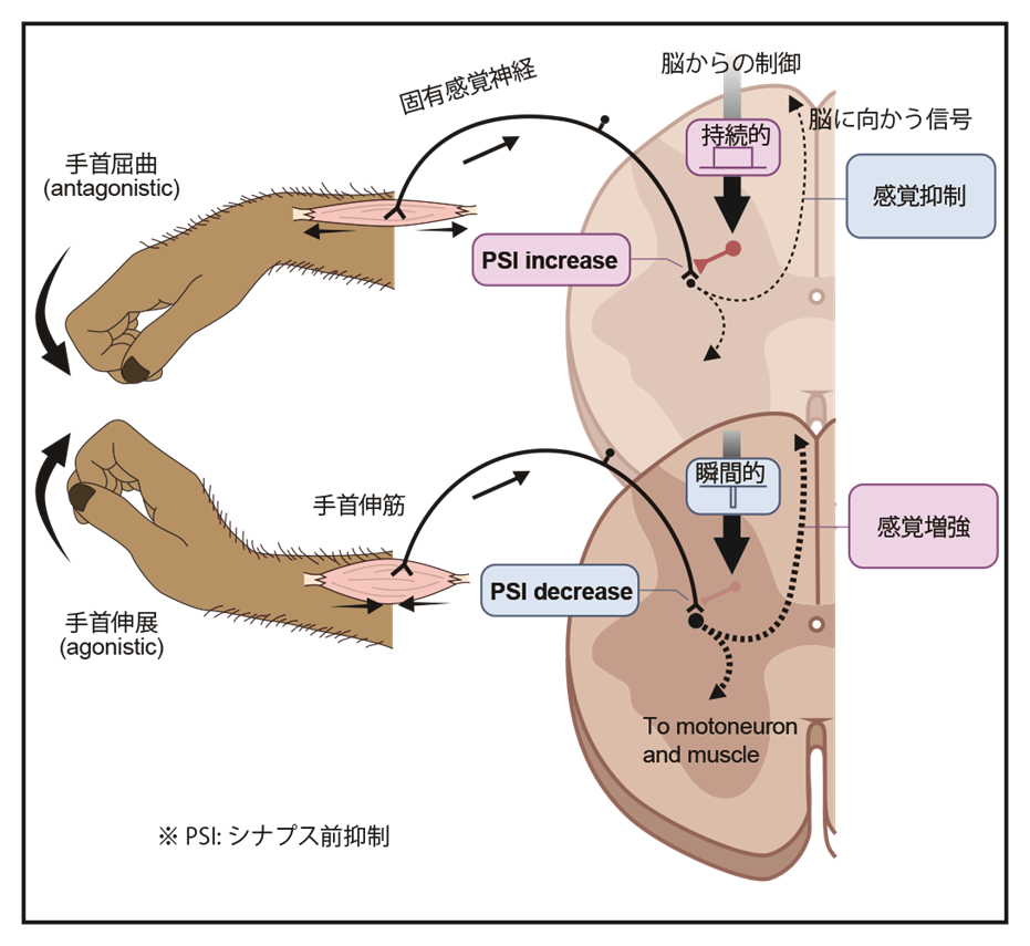 231026tomatsu-1.png