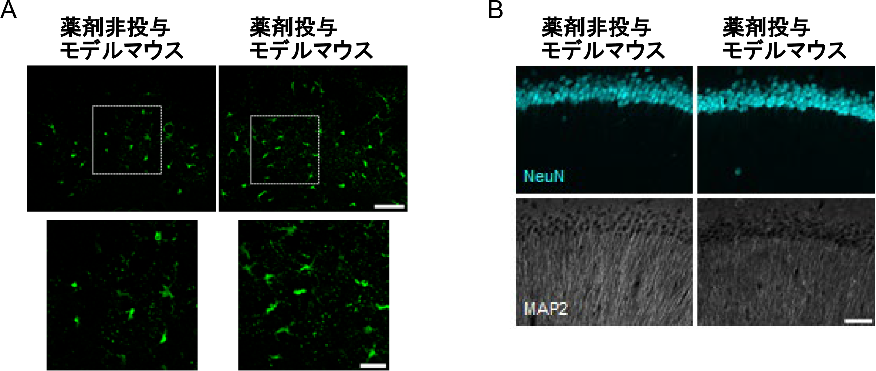 231113nabekura-4.png