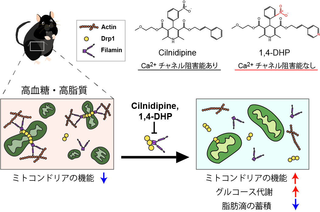 240725nishida-2.png