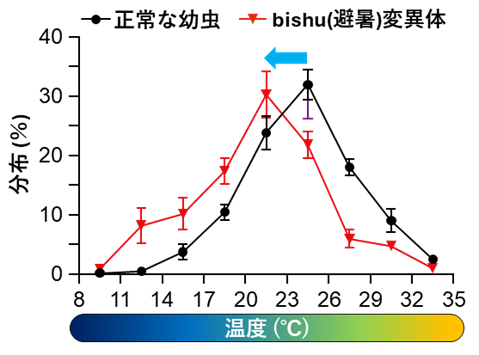 温度感覚はどのようにして保たれているのか～ショウジョウバエの神経で働く脂質の未知の機能を発見 ～