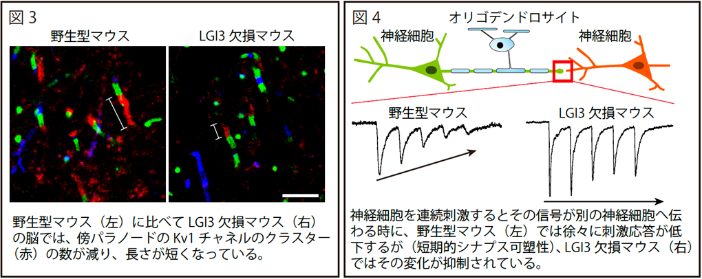 画像3.png