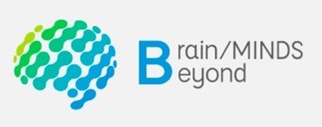 brainmaindsbeyond_logo.jpg