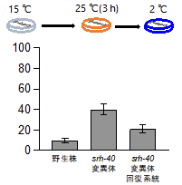 2024sokabe-4.png