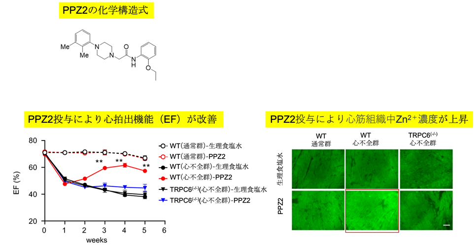 20221104nishida-2.png