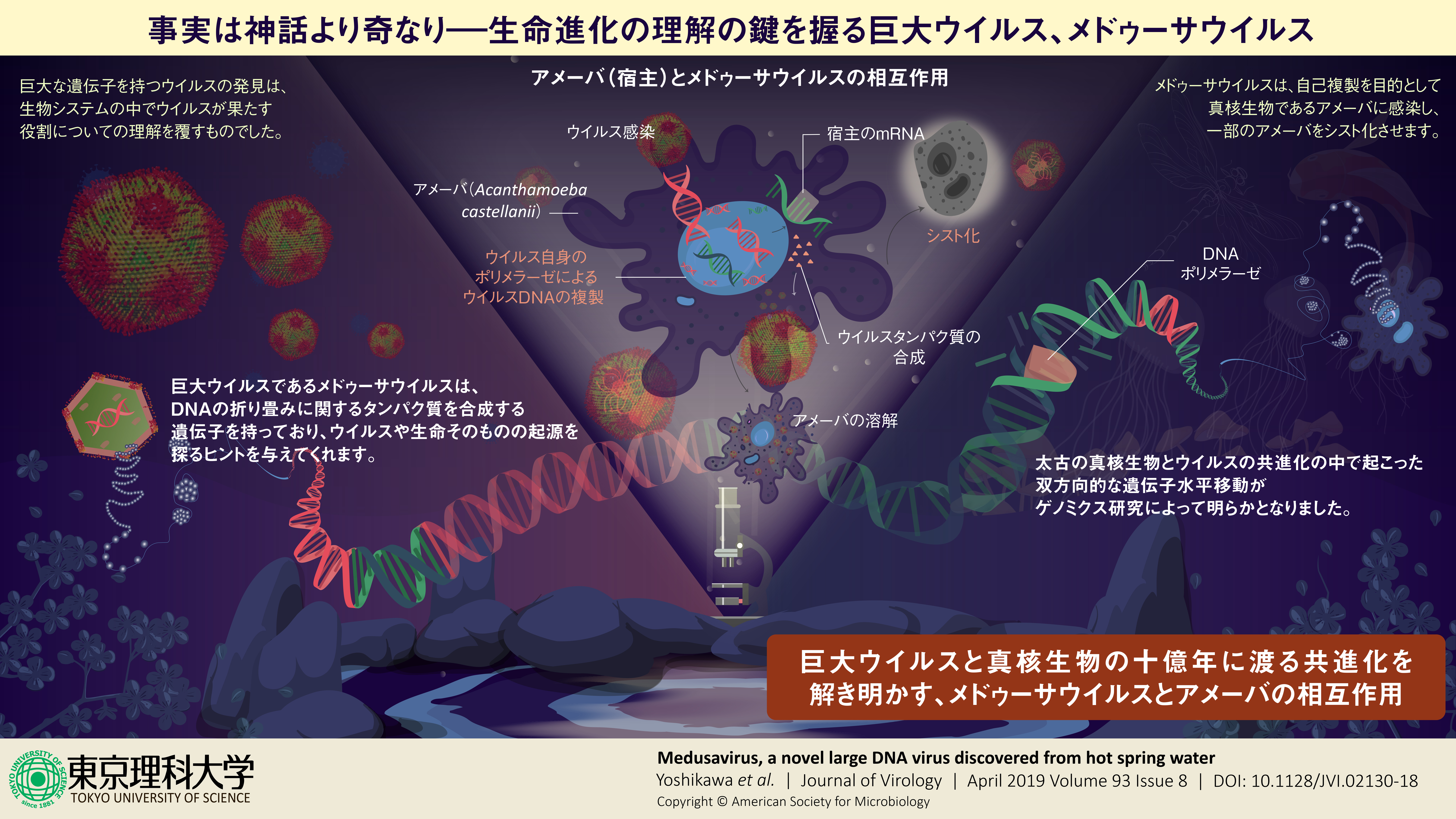 TUS_1_Infographic_JP_0426