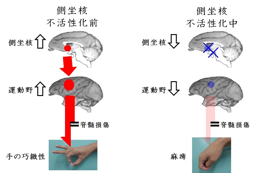 20151002nishimuraPress_1.jpg