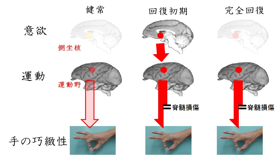 20151002nishimuraPress_2.jpg