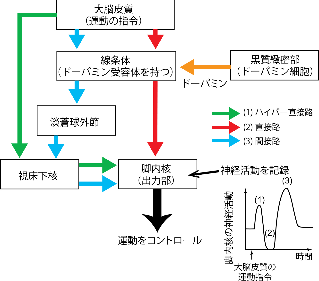 20151007chiken3.jpg