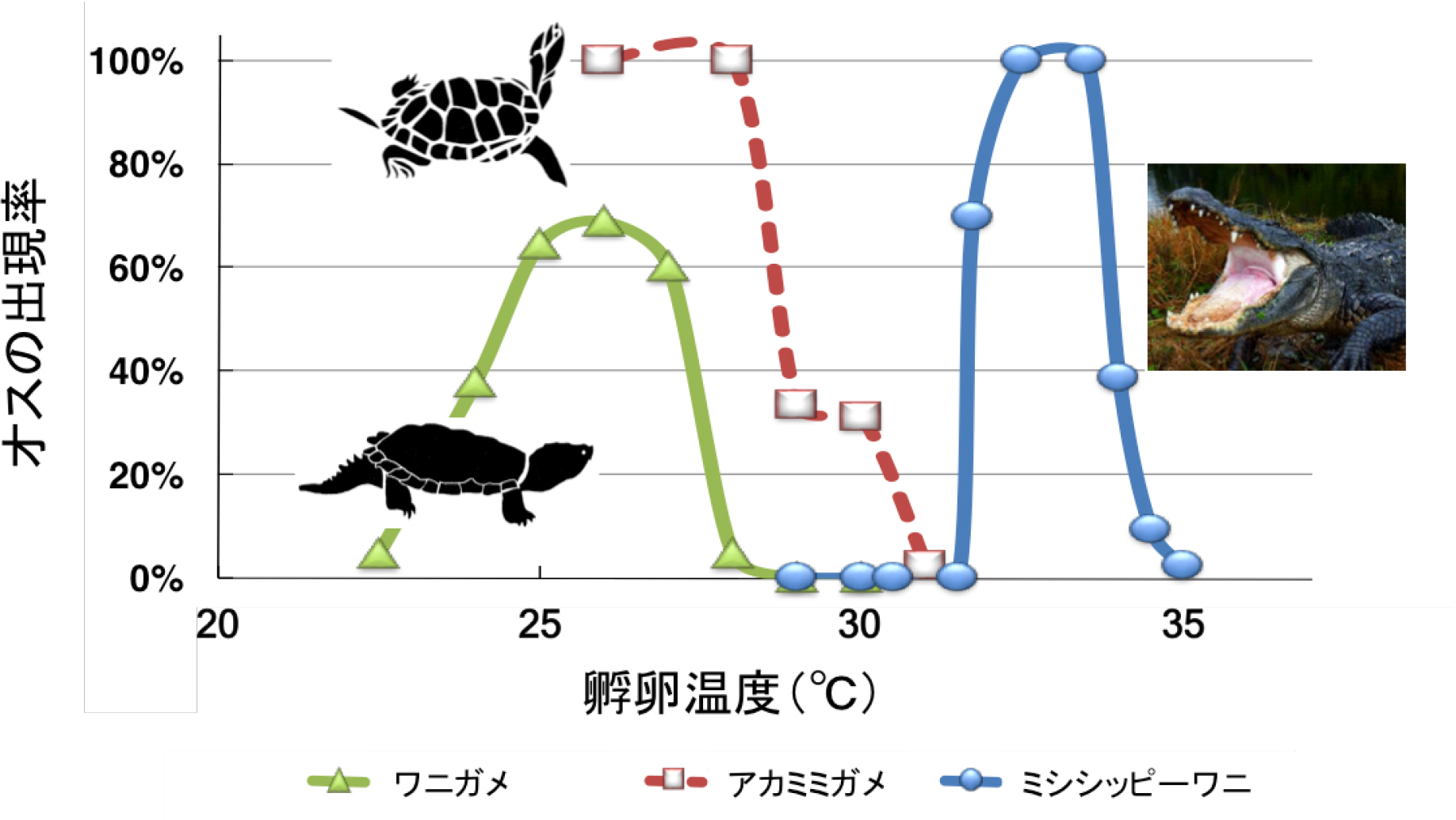 20151224kiseiken-2.jpg