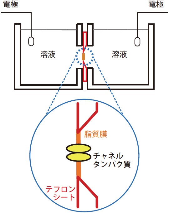 20160106tominaga_uchida-1.jpg