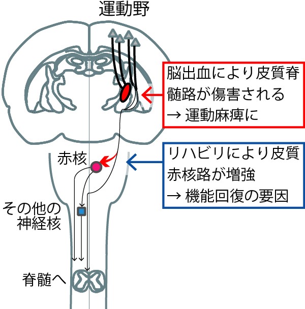 20160114isa-1.jpg