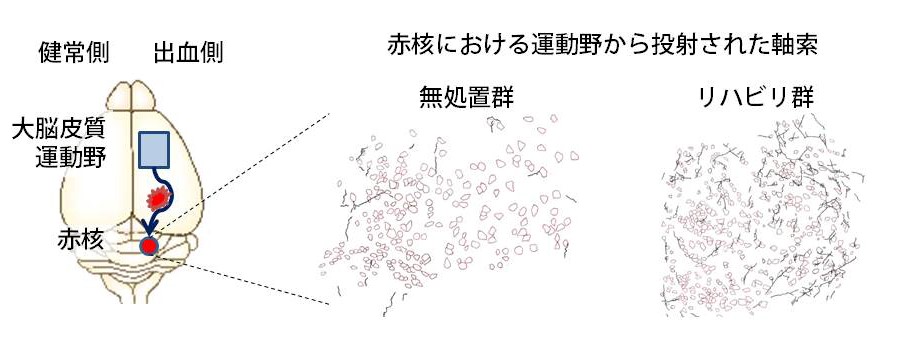 20160114isa-3.jpg