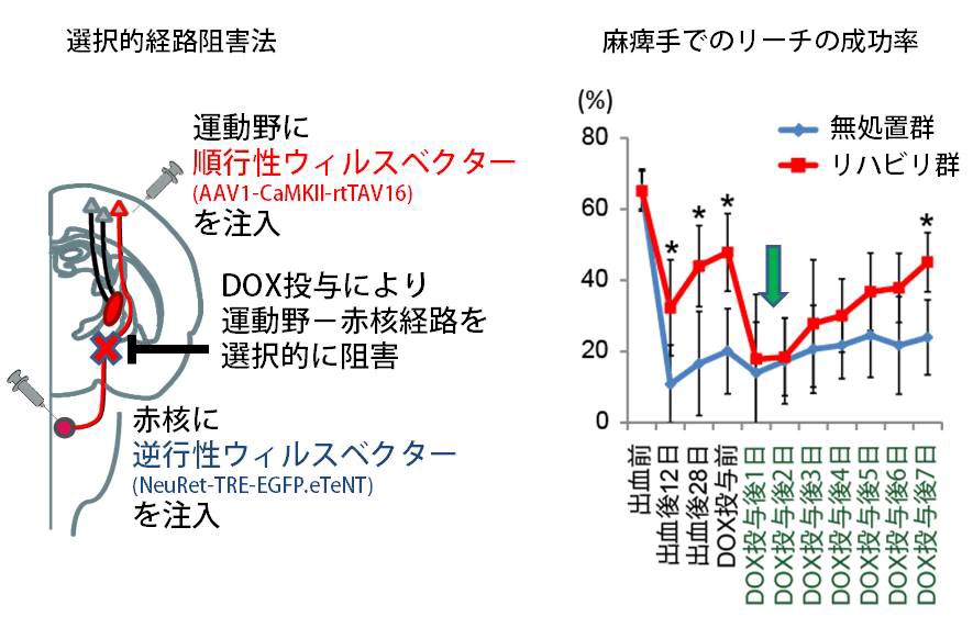 20160114isa-4.jpg