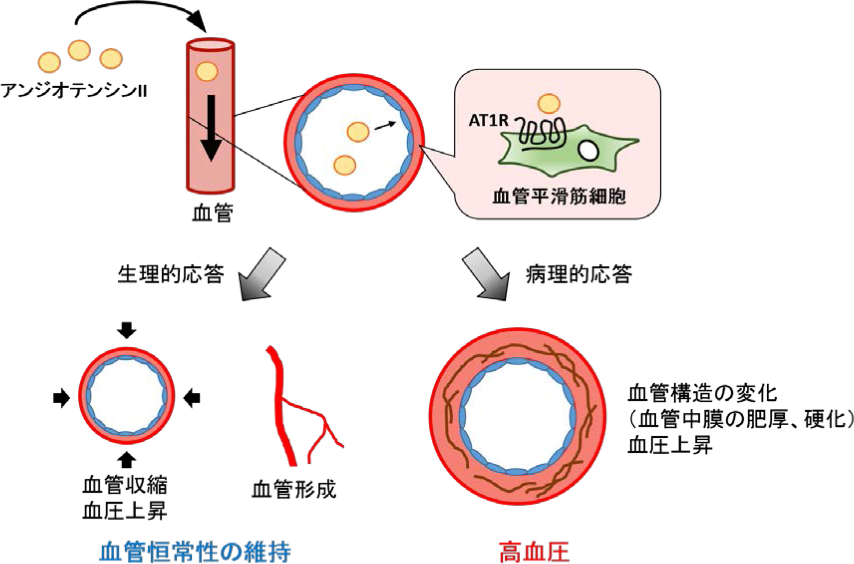 20160120nishida_1.jpg