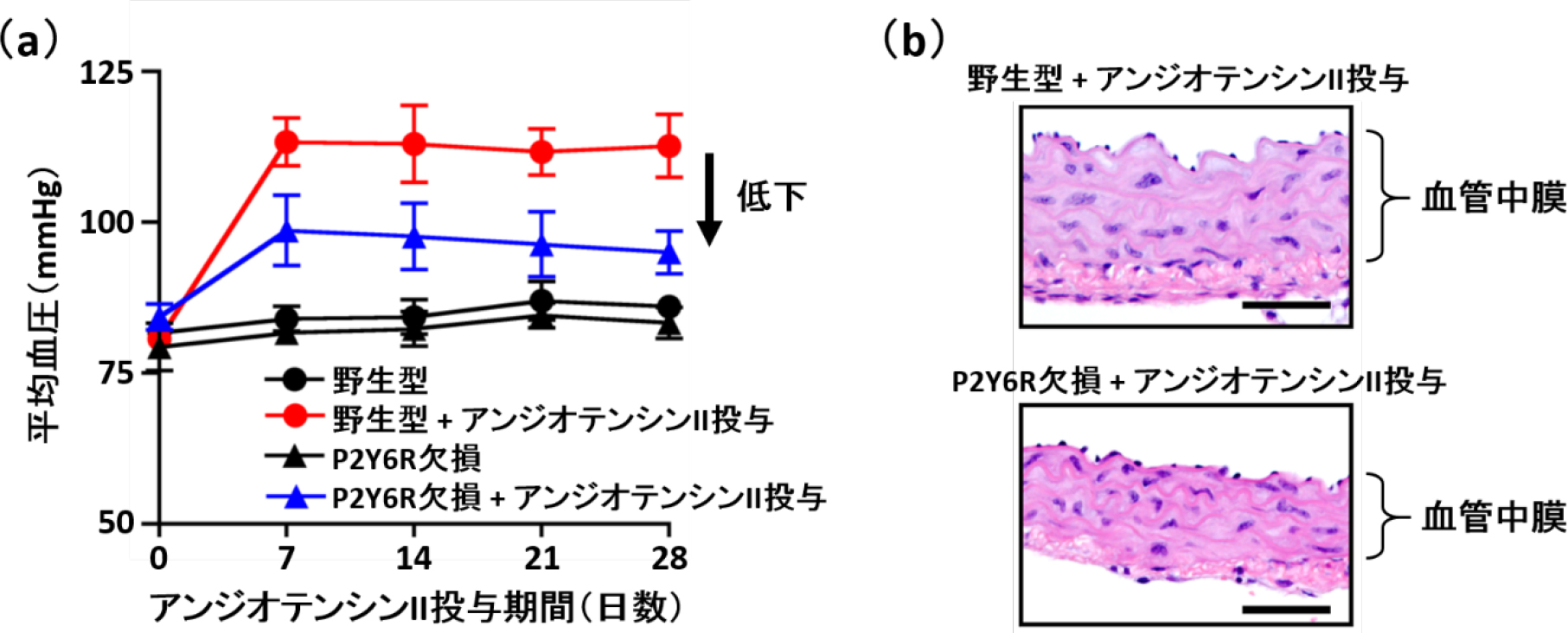 20160120nishida_2.jpg