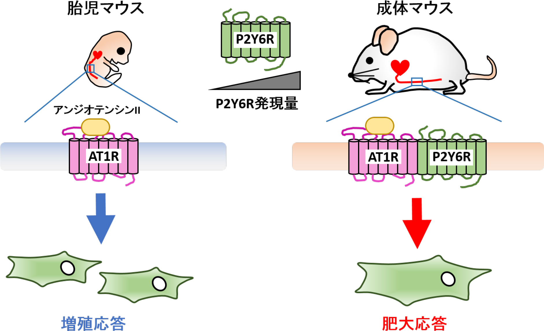 20160120nishida_3.jpg