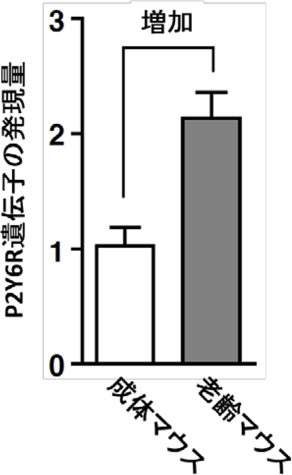 20160120nishida_4.jpg