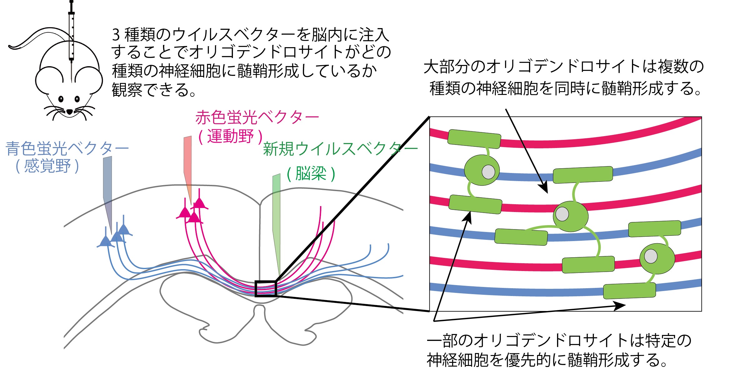 20161019ikenaka-2.jpg