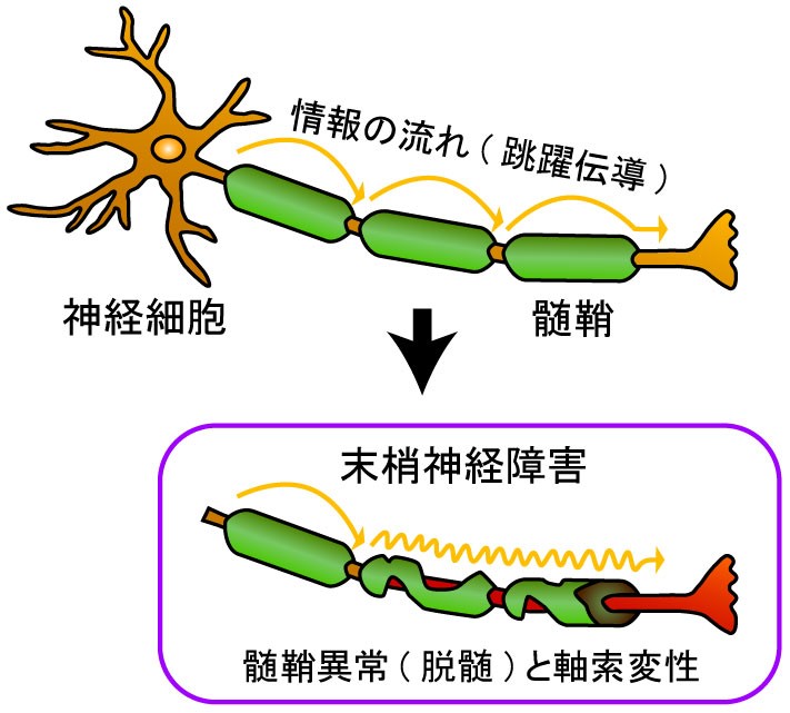 ãé«éãã®ç»åæ¤ç´¢çµæ