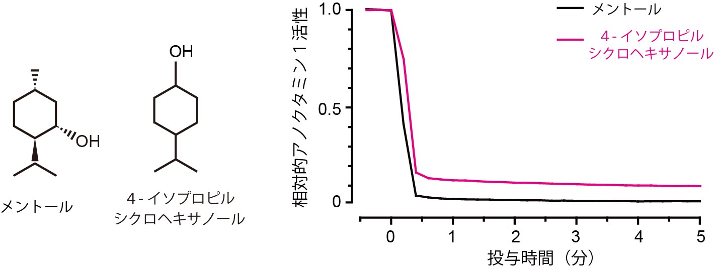 201702pressTominagaTakayama_1.jpg