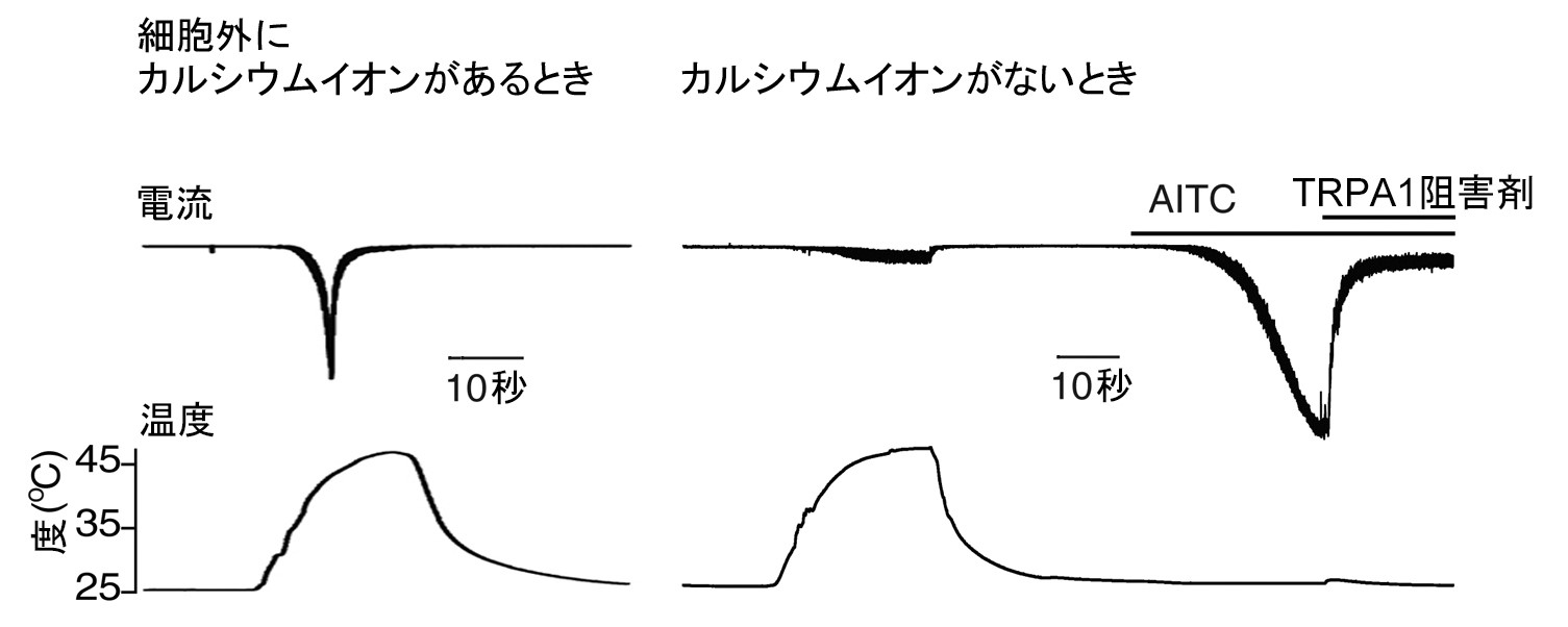 20170307tominaga_1.jpg