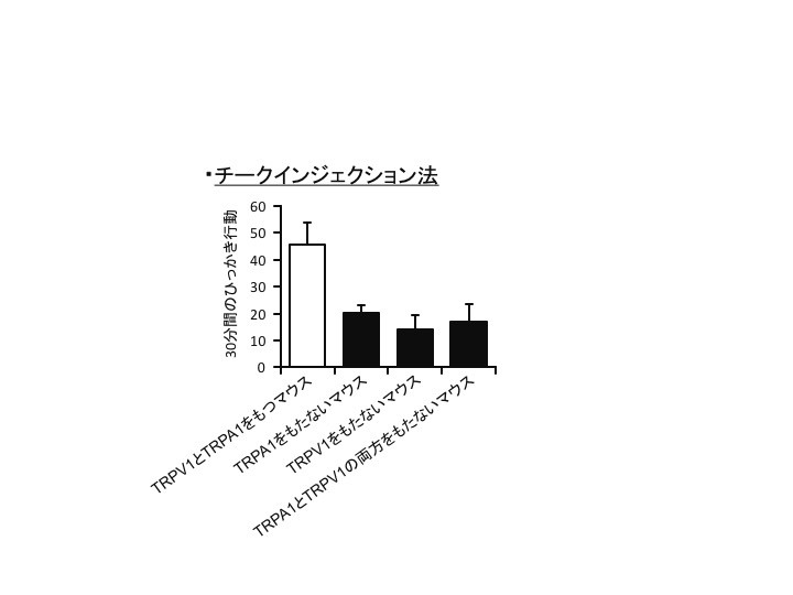 20170307tominaga_2-2.jpg