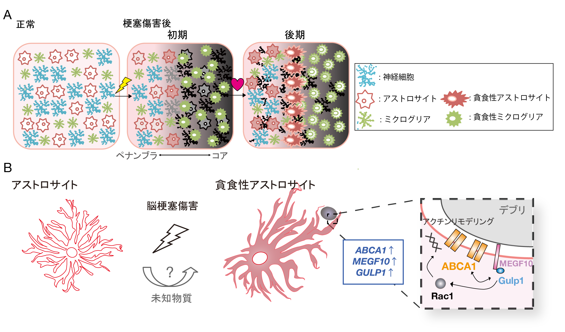 20170622nabekura-2.png