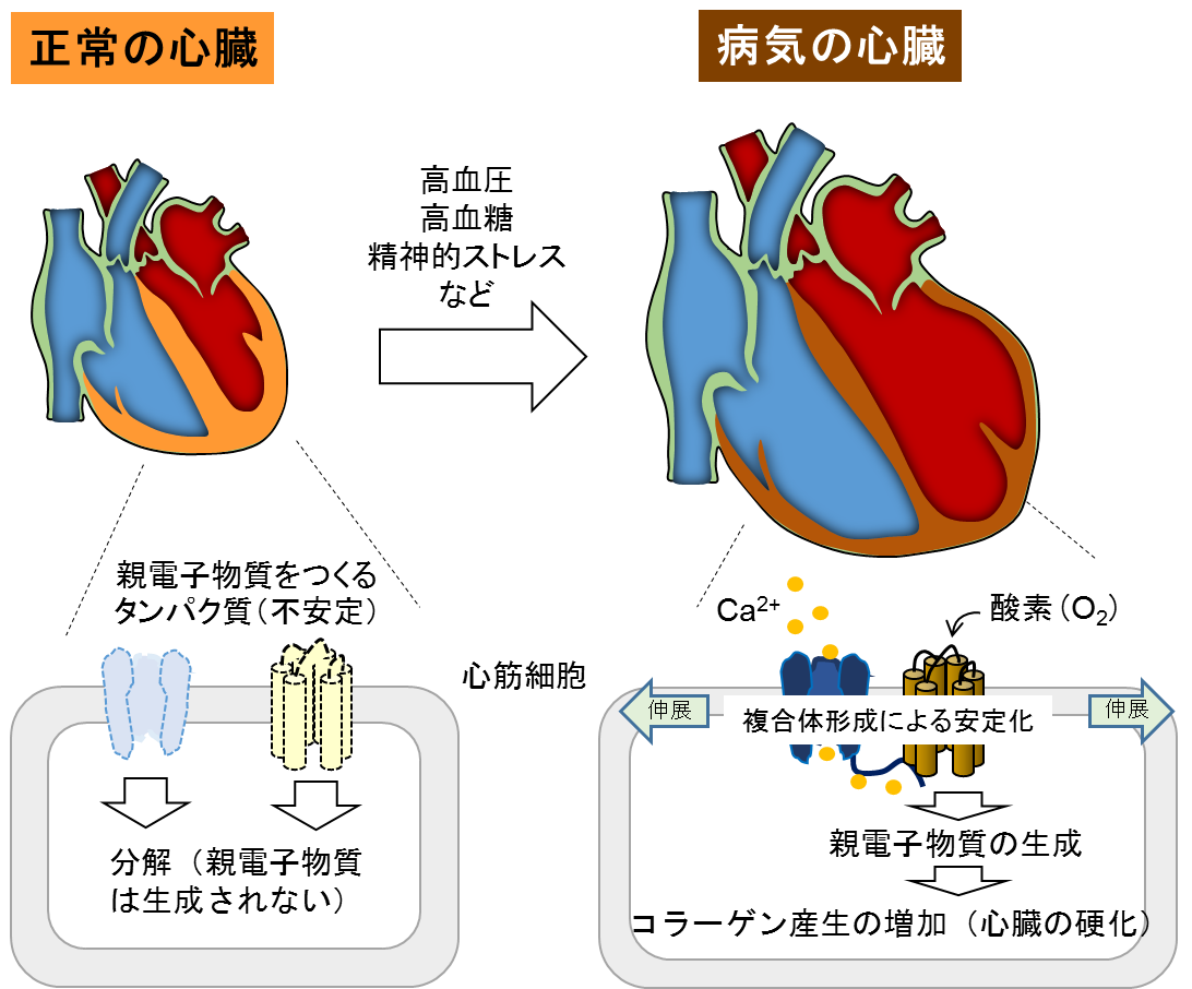 20170808nishida-1.png