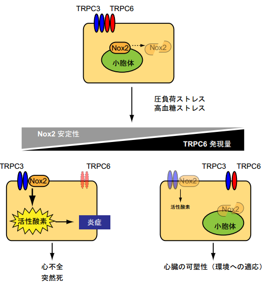 20170808nishida-3.png