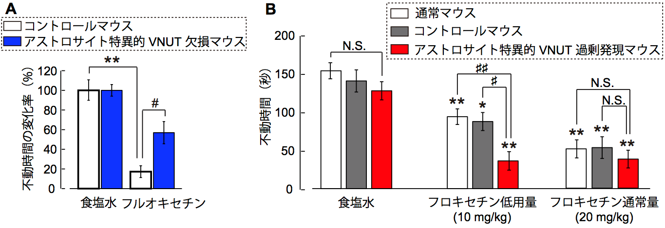 20180613ikanaka-yamanashi-1.png