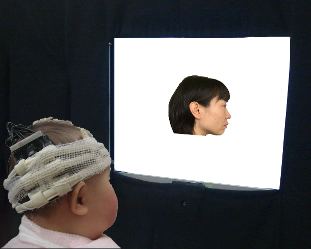横顔を見る力は、正面顔より後に速く発達～赤ちゃんの顔認知の発達を縦断的研究から明らかに～