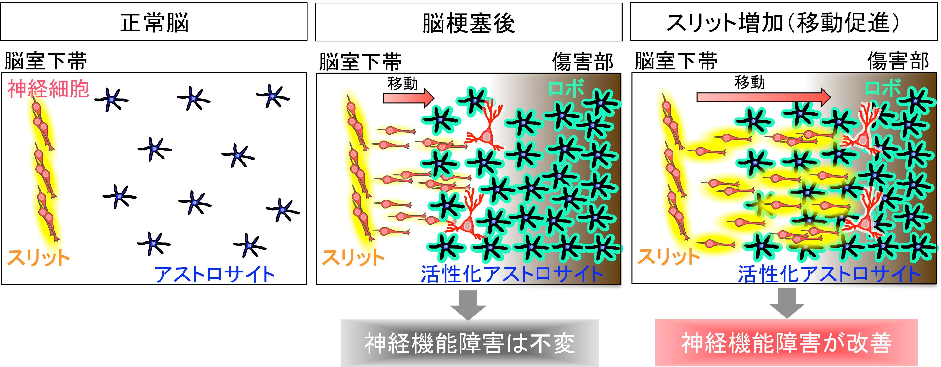 20181213sawamoto-3.jpg