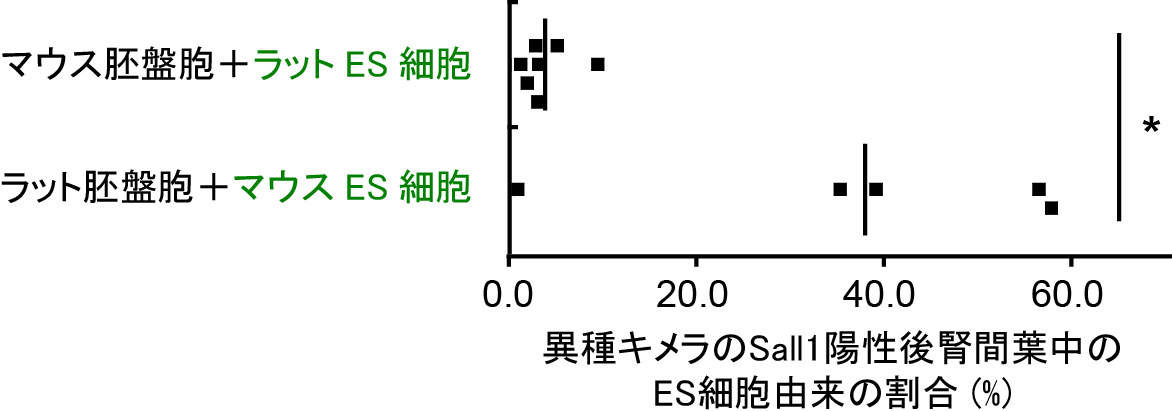 20190206hirabayashi-1-2.png