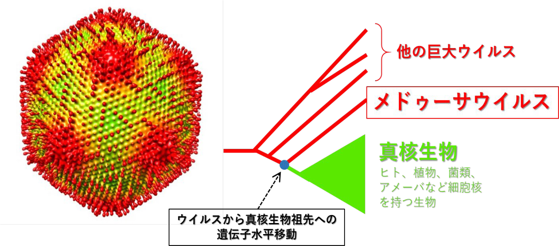 201902murata-1.jpg