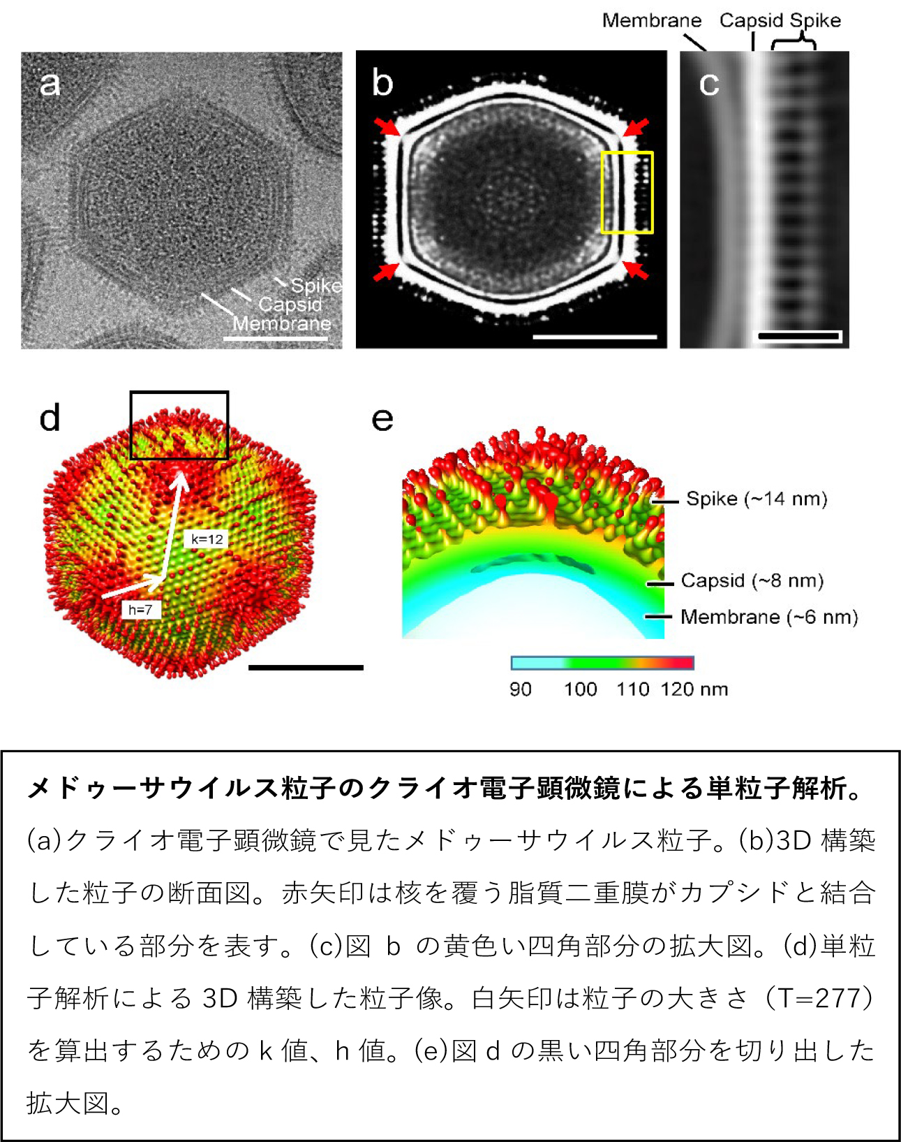 201902murata-2.jpg