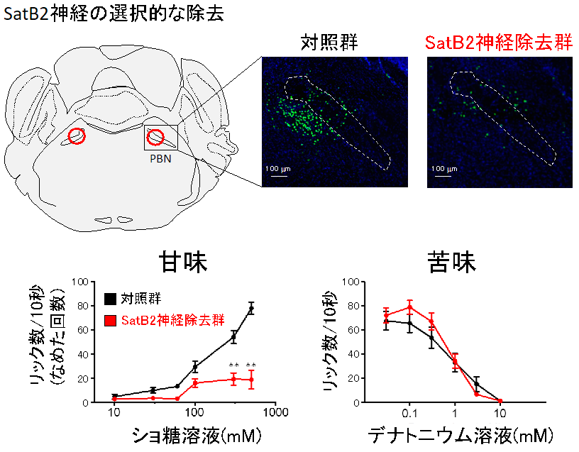 20190507nakajima-1.png