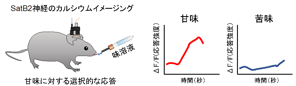 20190507nakajima-2.png