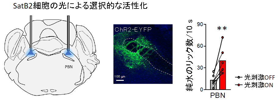 20190507nakajima-3.png