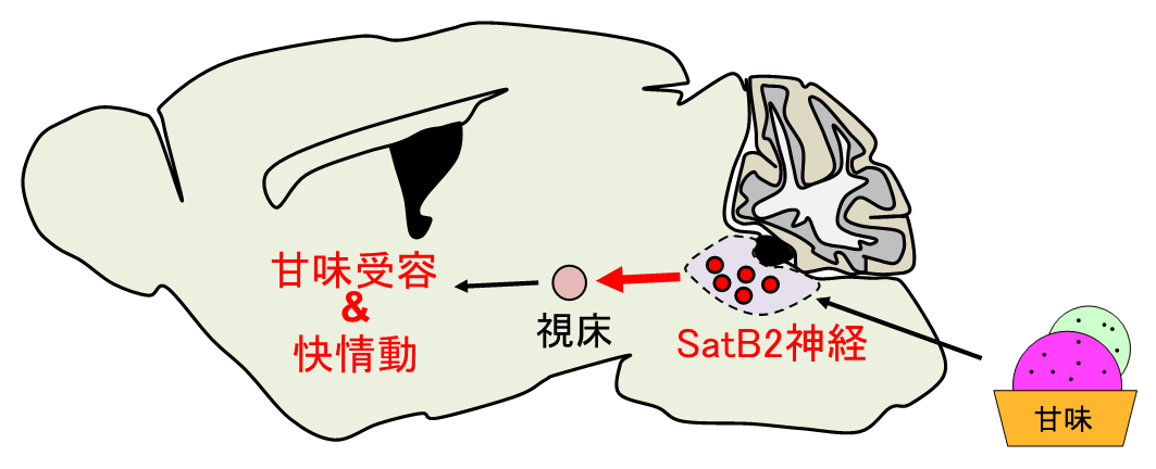 20190507nakajima-4.png