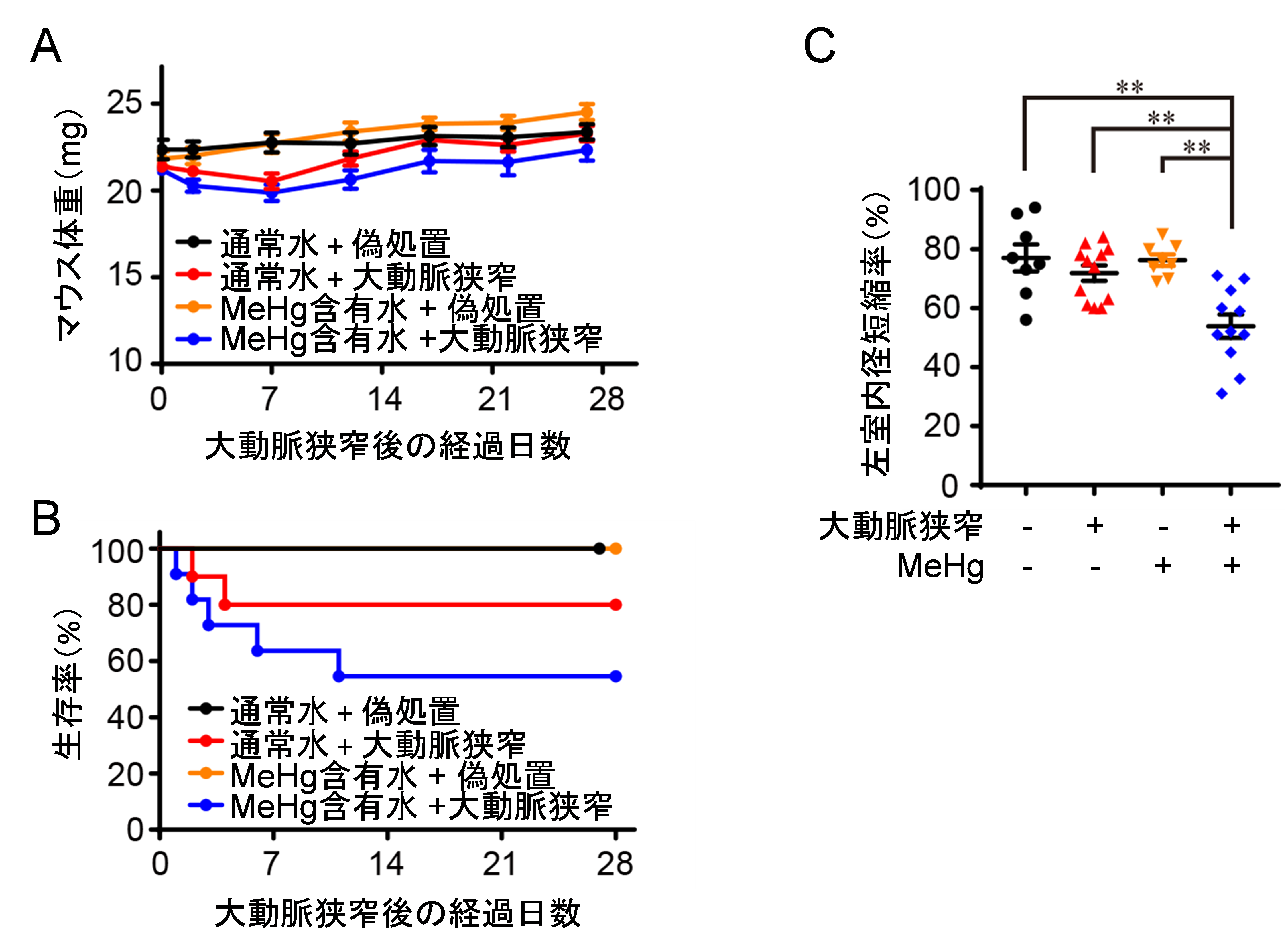 20190626nishida-1.png