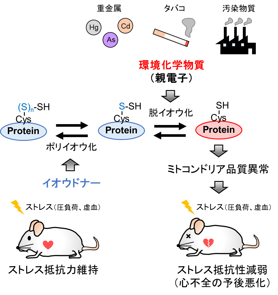 20190626nishida-3.png