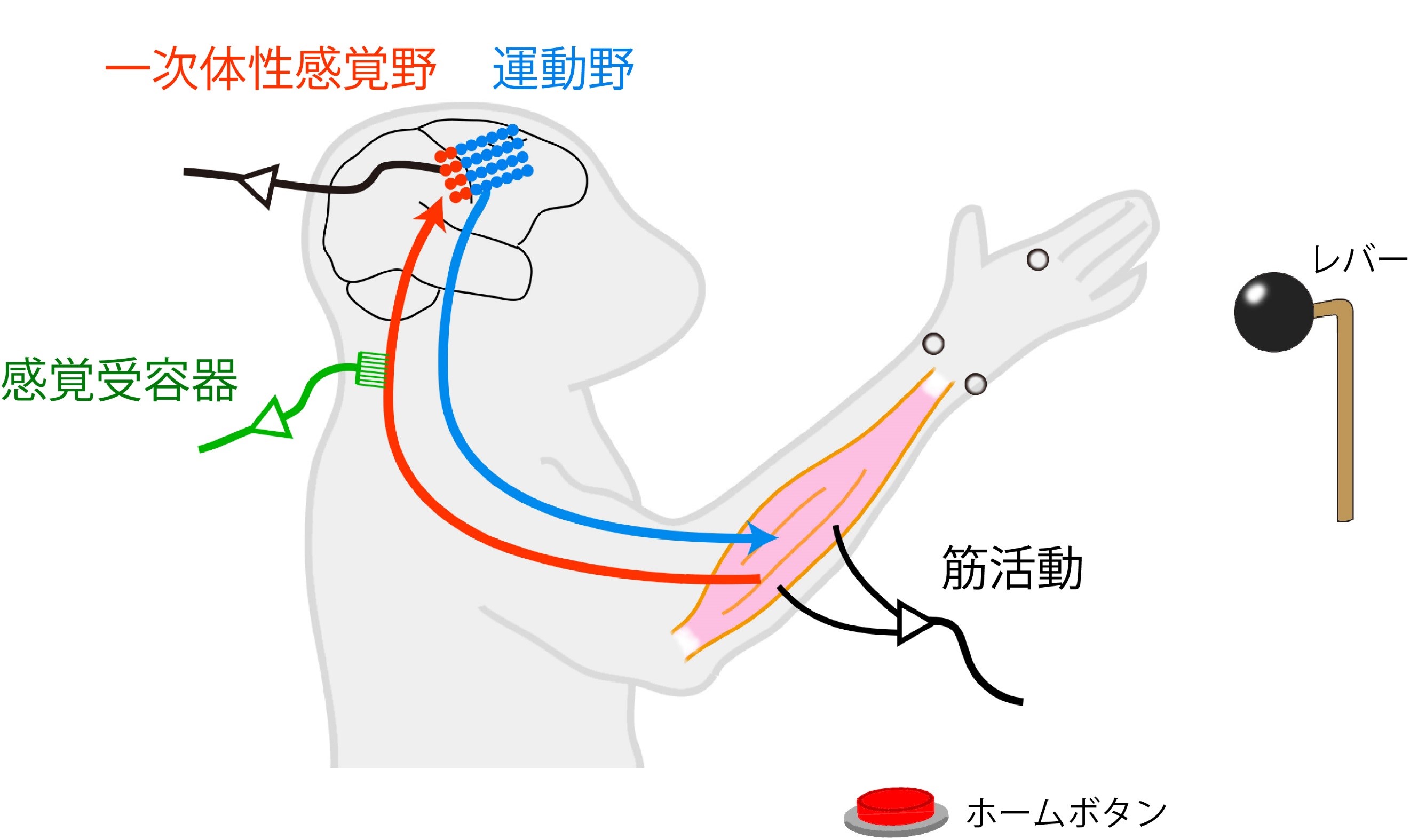 20190711umeda-1.jpg