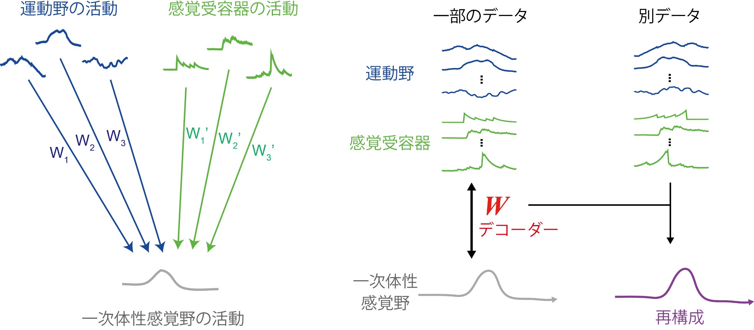 20190711umeda-2.jpg