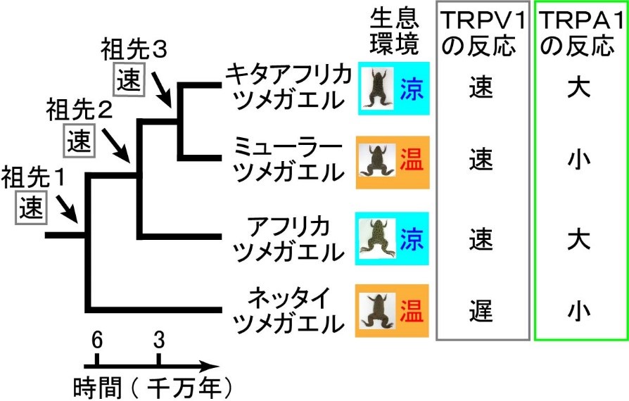 20190830saito-1.jpg